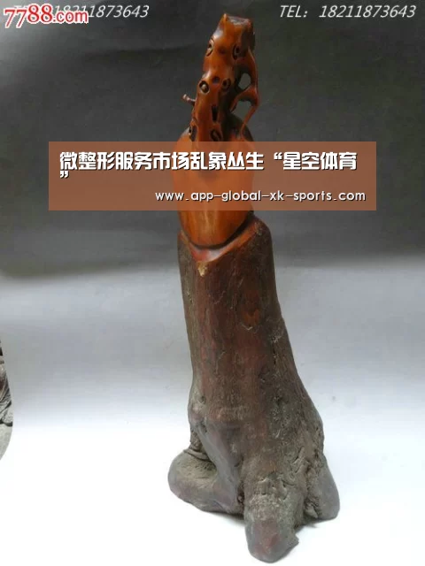 星空体育下载